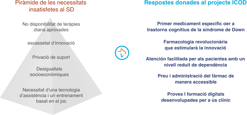 Infografia dels objectius del Projecte ICOD